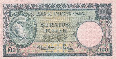 Beschrijving voorzijde: SQUIRREL